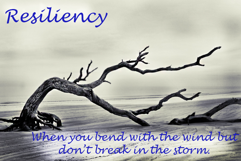 Resiliency - when you bend with the wind but don't break in the storm